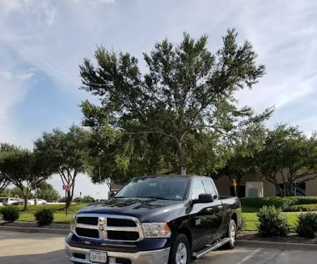 Avis Car Rental