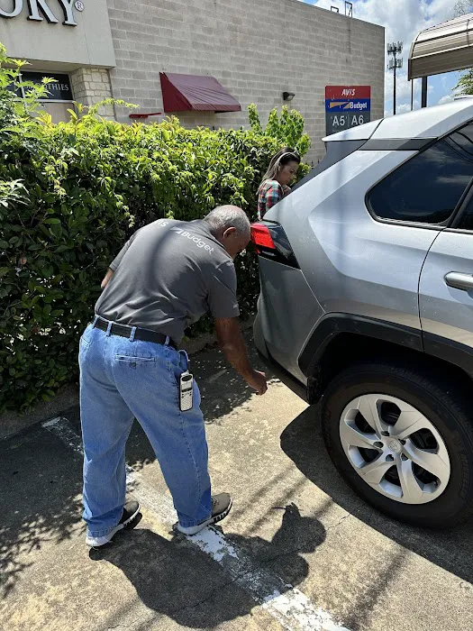Budget Car Rental Picture 2