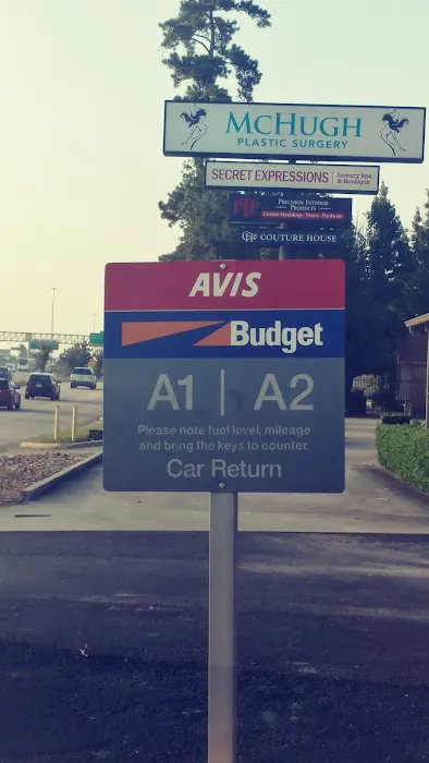 Budget Car Rental Picture 4