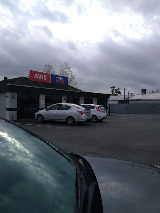 Avis Car Rental Picture 10