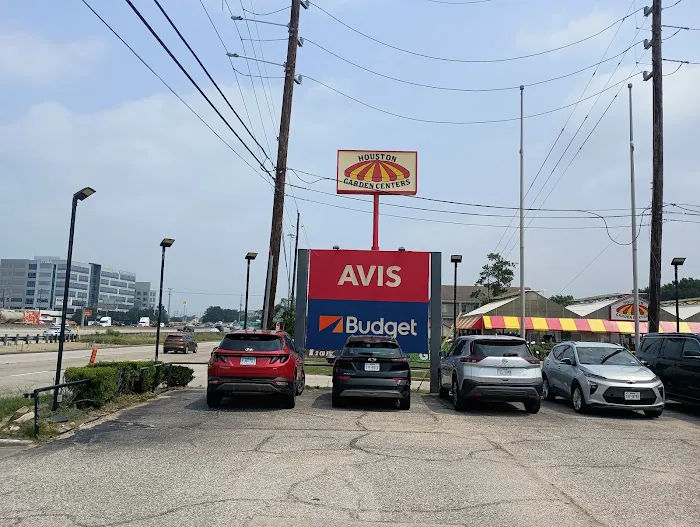 Avis Car Rental Picture 4