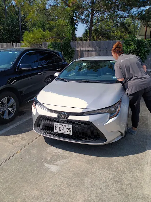 Avis Car Rental Picture 3