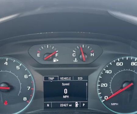 Avis Car Rental