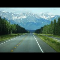 Bargain Rent-A-Car ico