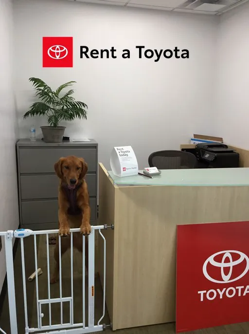 Rent A Toyota at McGovern Toyota of Portsmouth Picture 3