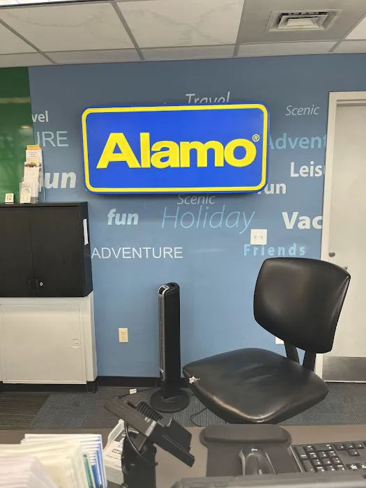 Alamo Rent A Car Picture 3