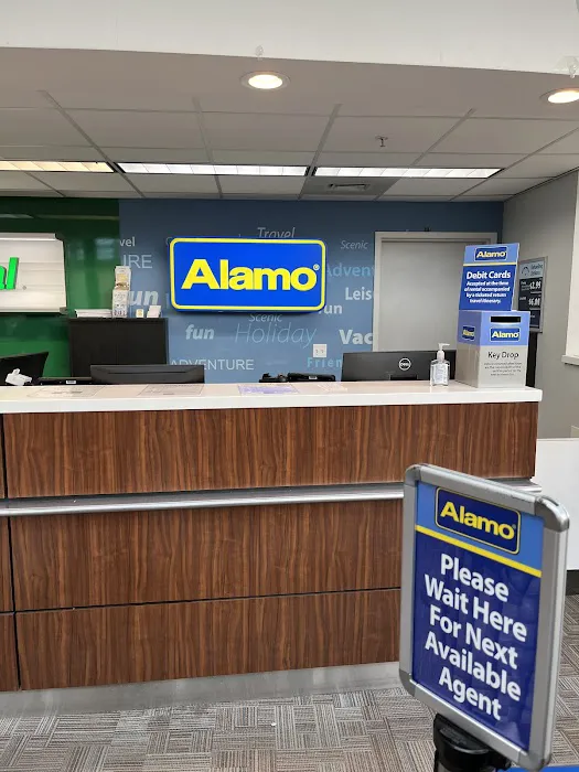 Alamo Rent A Car Picture 2