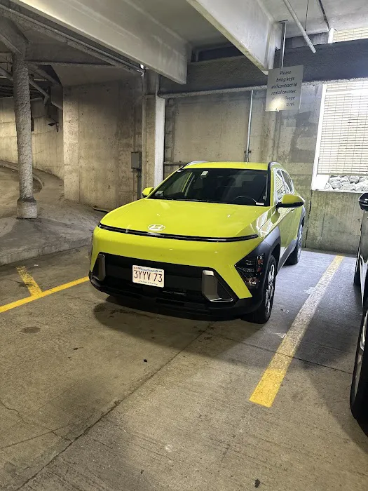 Alamo Rent A Car Picture 4