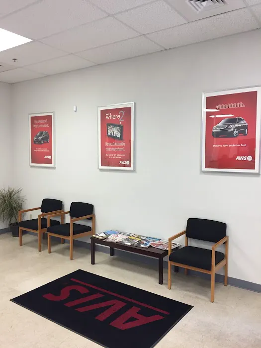 Avis Car Rental Picture 4