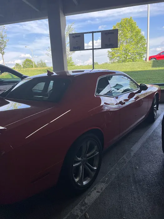 Dollar Car Rental Picture 4