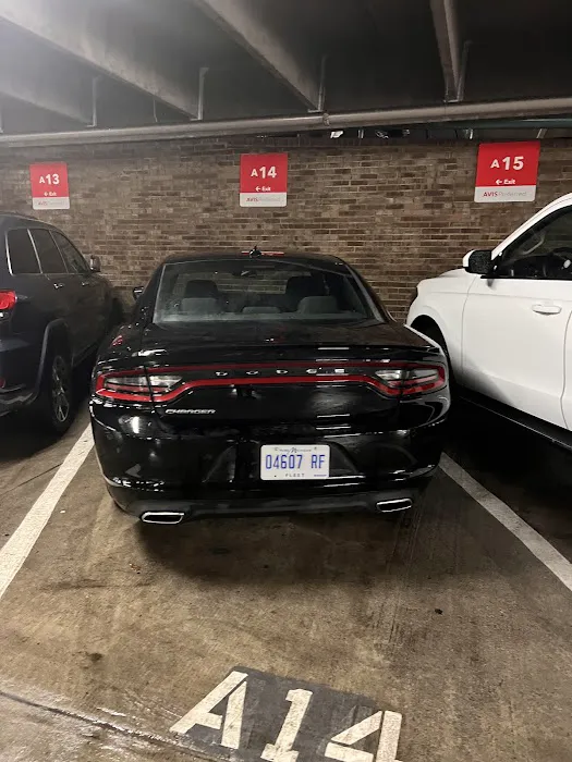 Budget Car Rental Picture 8