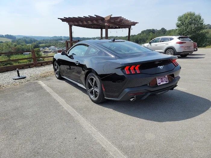 Budget Car Rental Picture 3