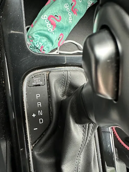 Payless Car Rental Picture 4