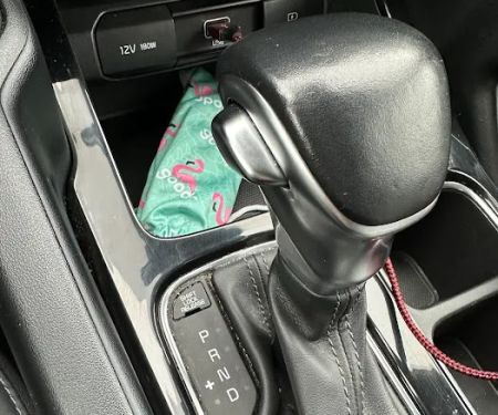 Payless Car Rental