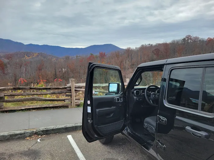 Avis Car Rental Picture 3