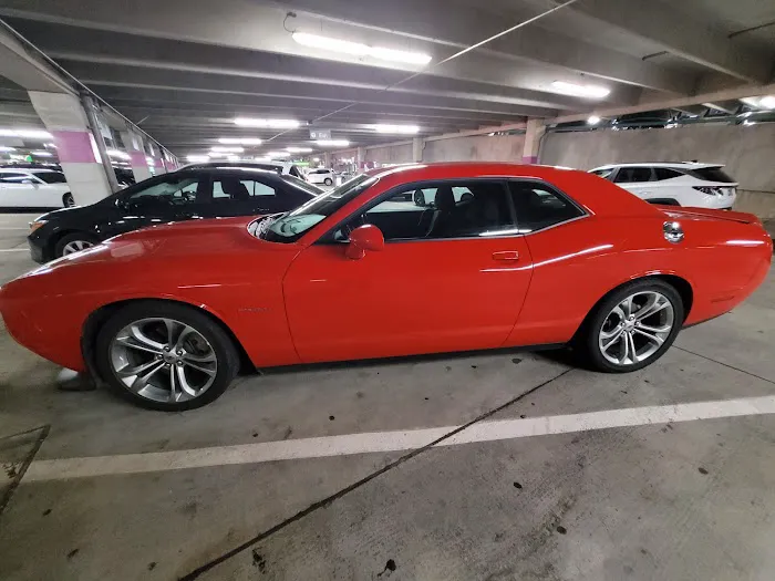 Alamo Rent A Car Picture 6