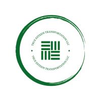 True Esteem Transportation LLC ico