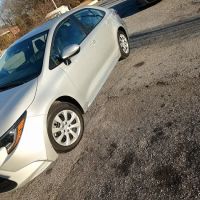 ACE Rent A Car ico