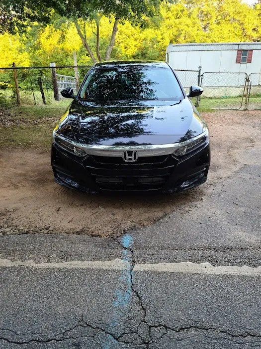 Elite Car Rental Picture 3
