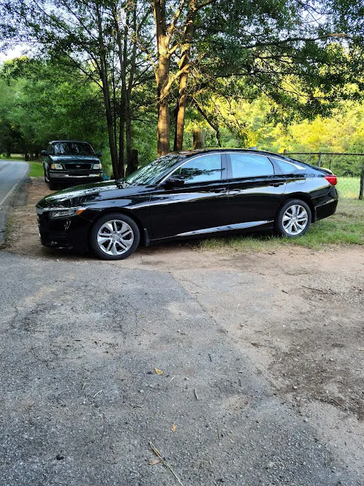 Elite Car Rental Picture 5
