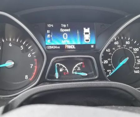 Budget Car Rental