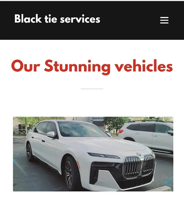 Black tie services llc Picture 1