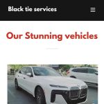 Black tie services llc