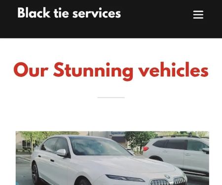 Black tie services llc