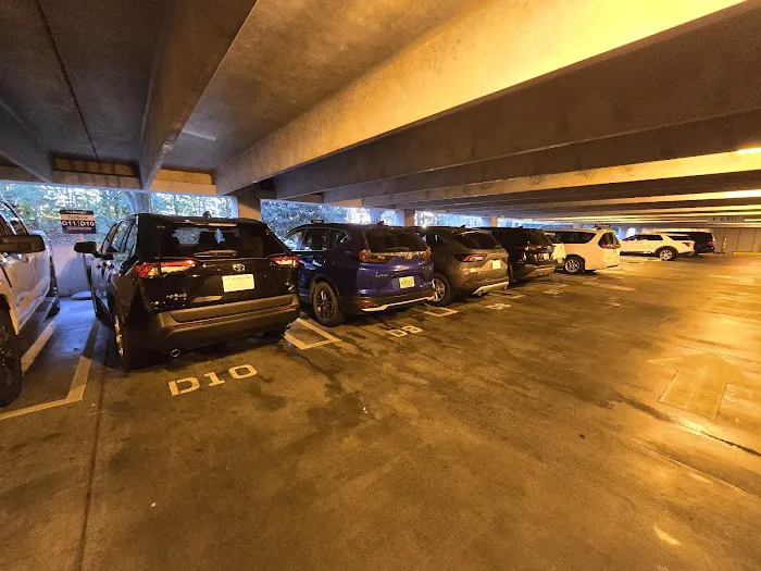 Budget Car Rental Picture 5