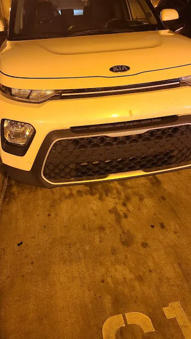 Budget Car Rental Picture 1