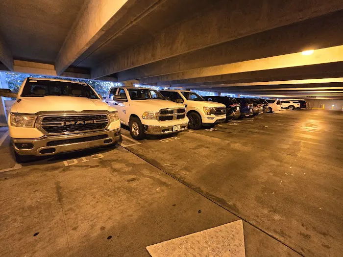 Budget Car Rental Picture 4