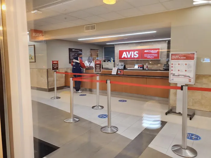 Alamo Rent A Car Picture 7