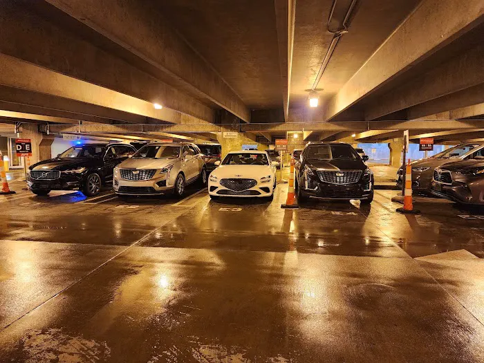Avis Car Rental Picture 1