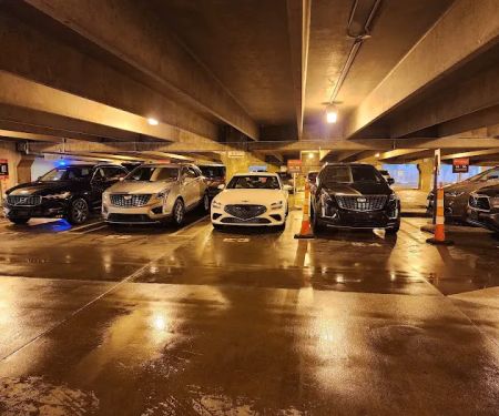 Avis Car Rental