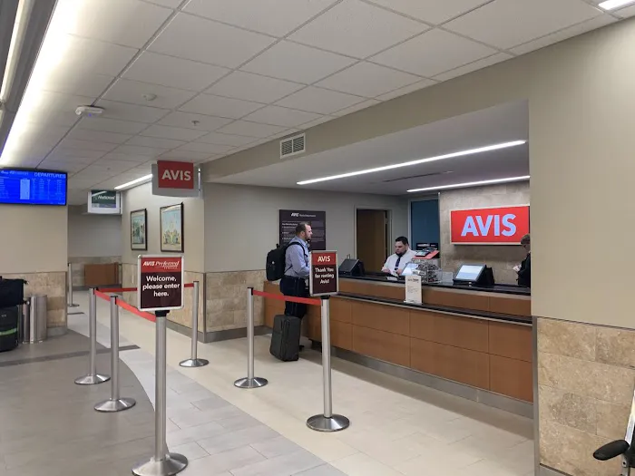 Avis Car Rental Picture 6