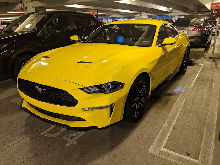 Avis Car Rental Picture 8