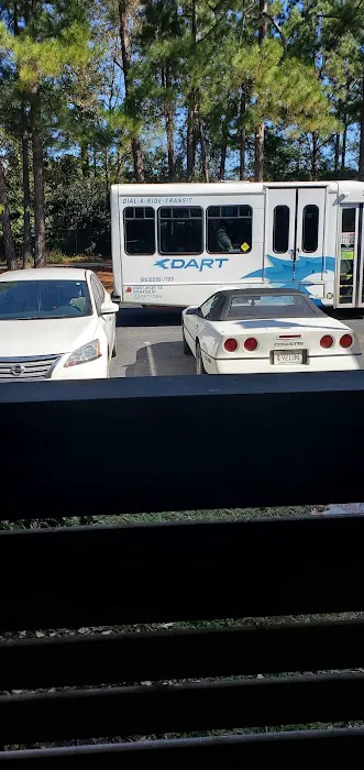 DART Picture 2