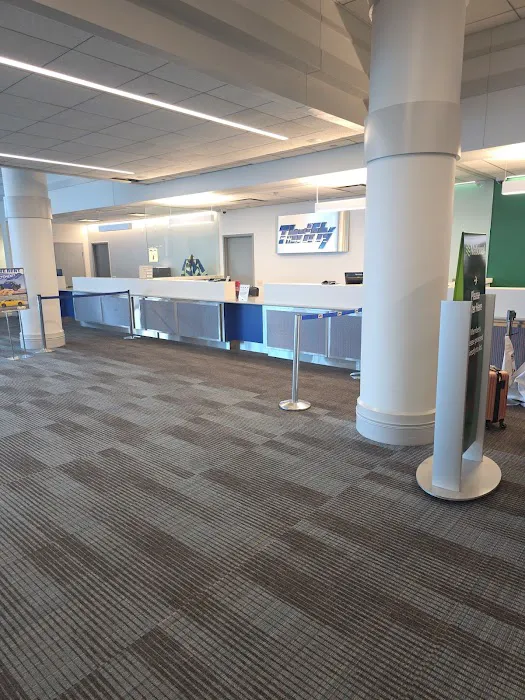 National Car Rental Picture 4