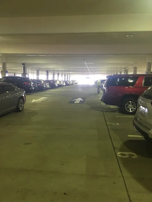 Hertz Car Rental - Columbia Metropolitan Airport Picture 9