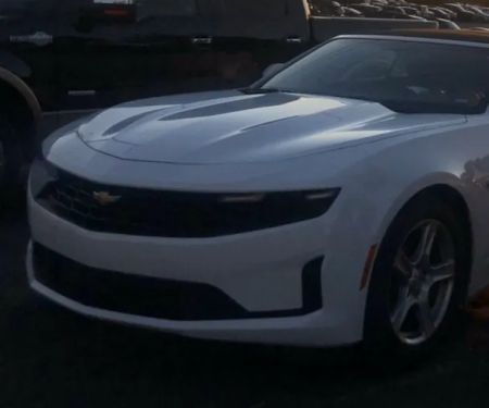 Alamo Rent A Car