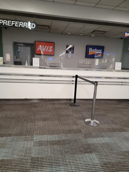 Avis Car Rental Picture 4