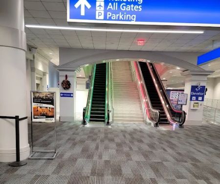 Avis Car Rental