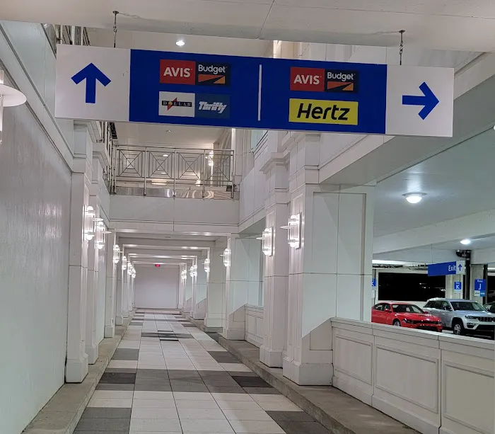 Avis Car Rental Picture 5