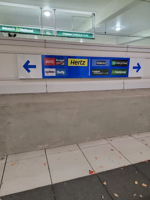 Avis Car Rental Picture 3