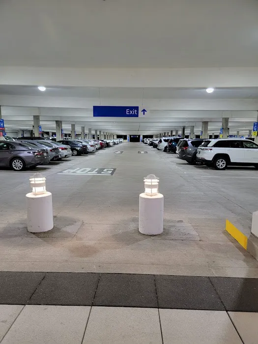 Avis Car Rental Picture 8