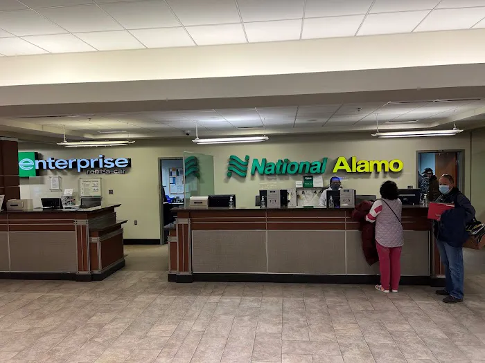 Alamo Rent A Car Picture 1