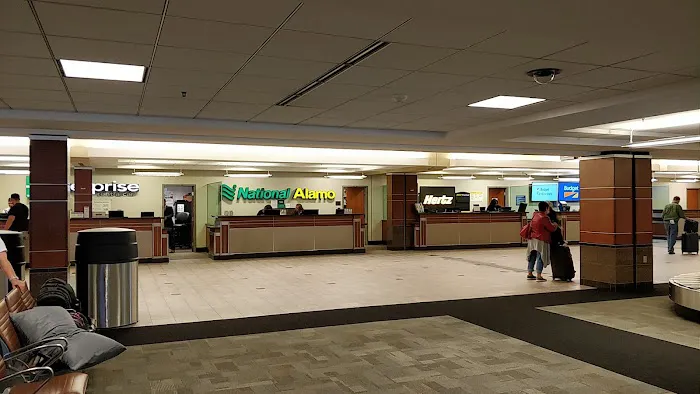 Alamo Rent A Car Picture 8