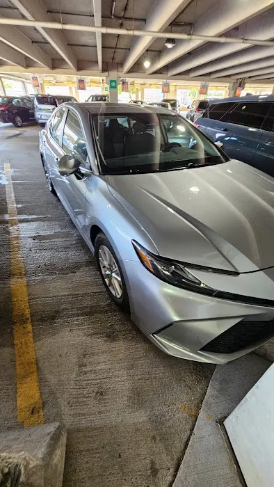 National Car Rental Picture 9
