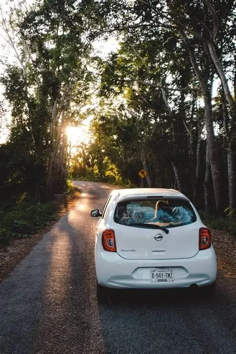 Can You Take a Car Rental to Mexico? What You Need to Know