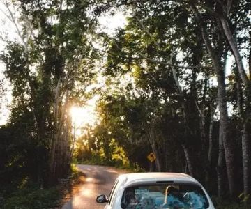 Can You Take a Car Rental to Mexico? What You Need to Know